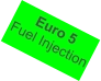 Euro 5 Fuel Injection